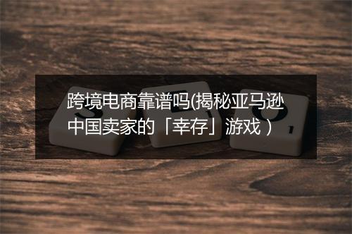 跨境电商靠谱吗(揭秘亚马逊中国卖家的「幸存」游戏）