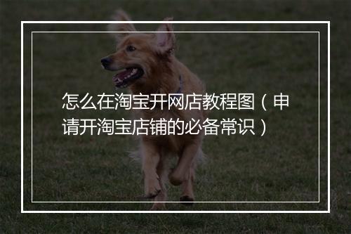 怎么在淘宝开网店教程图（申请开淘宝店铺的必备常识）