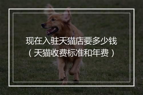 现在入驻天猫店要多少钱（天猫收费标准和年费）