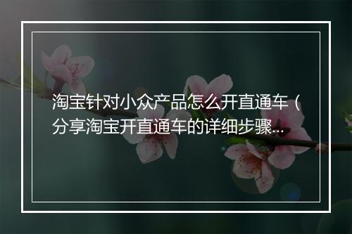 淘宝针对小众产品怎么开直通车（分享淘宝开直通车的详细步骤）