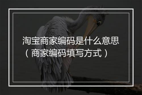 淘宝商家编码是什么意思（商家编码填写方式）