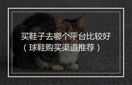 买鞋子去哪个平台比较好（球鞋购买渠道推荐）