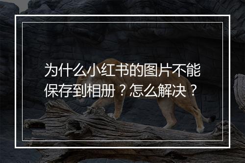 为什么小红书的图片不能保存到相册？怎么解决？