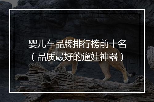 婴儿车品牌排行榜前十名（品质最好的遛娃神器）