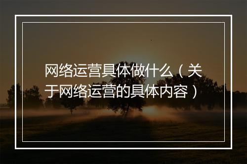 网络运营具体做什么（关于网络运营的具体内容）