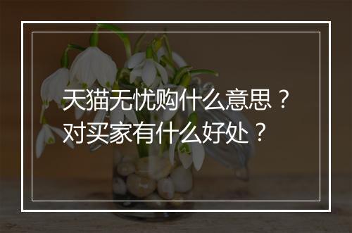 天猫无忧购什么意思？对买家有什么好处？