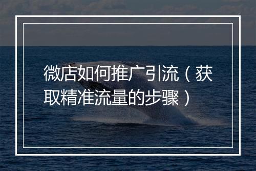 微店如何推广引流（获取精准流量的步骤）