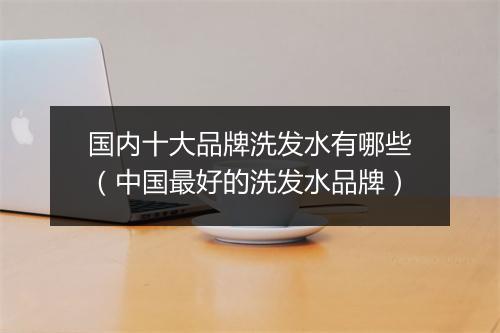 国内十大品牌洗发水有哪些（中国最好的洗发水品牌）