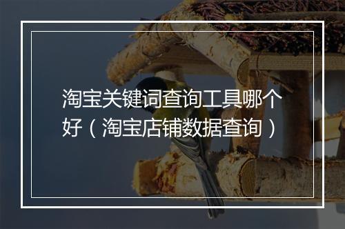 淘宝关键词查询工具哪个好（淘宝店铺数据查询）