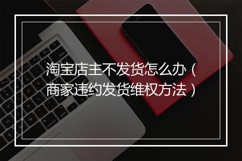 淘宝店主不发货怎么办（商家违约发货维权方法）