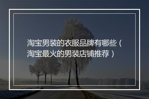 淘宝男装的衣服品牌有哪些（淘宝最火的男装店铺推荐）