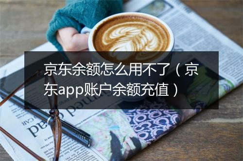 京东余额怎么用不了（京东app账户余额充值）