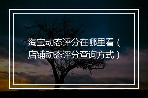 淘宝动态评分在哪里看（店铺动态评分查询方式）