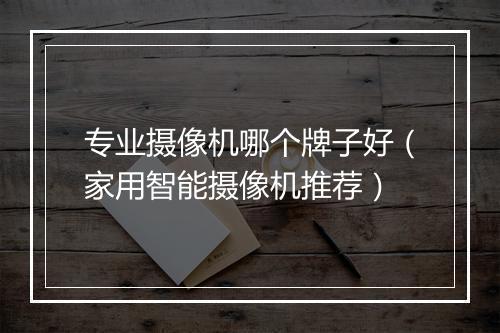 专业摄像机哪个牌子好（家用智能摄像机推荐）