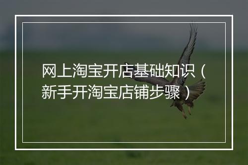 网上淘宝开店基础知识（新手开淘宝店铺步骤）