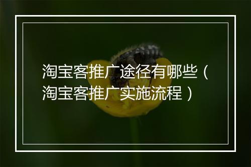 淘宝客推广途径有哪些（淘宝客推广实施流程）