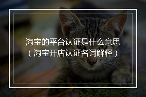 淘宝的平台认证是什么意思（淘宝开店认证名词解释）