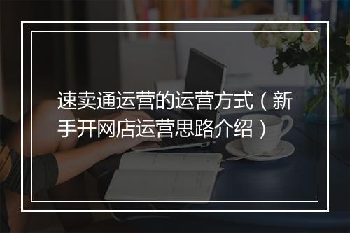 速卖通运营的运营方式（新手开网店运营思路介绍）