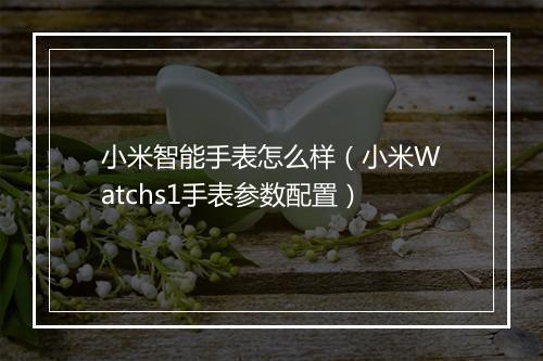 小米智能手表怎么样（小米Watchs1手表参数配置）