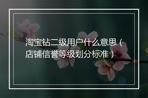 淘宝钻二级用户什么意思（店铺信誉等级划分标准）