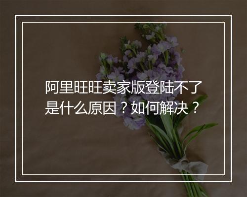 阿里旺旺卖家版登陆不了是什么原因？如何解决？
