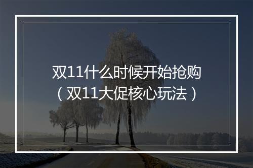 双11什么时候开始抢购（双11大促核心玩法）