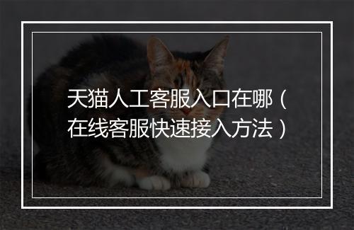 天猫人工客服入口在哪（在线客服快速接入方法）