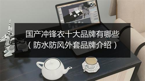国产冲锋衣十大品牌有哪些（防水防风外套品牌介绍）