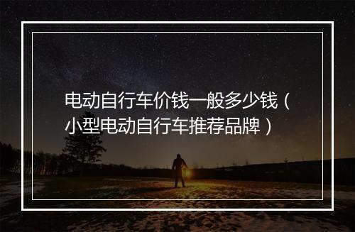 电动自行车价钱一般多少钱（小型电动自行车推荐品牌）