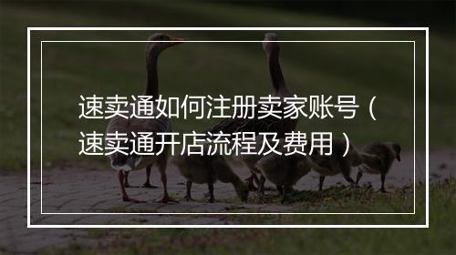 速卖通如何注册卖家账号（速卖通开店流程及费用）