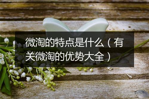 微淘的特点是什么（有关微淘的优势大全）