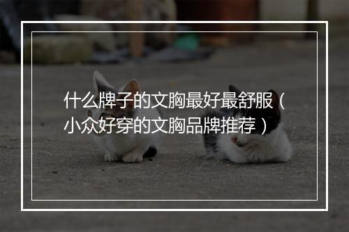 什么牌子的文胸最好最舒服（小众好穿的文胸品牌推荐）