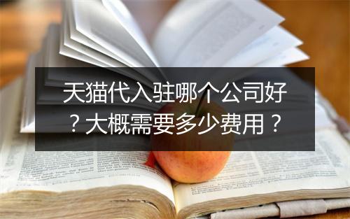 天猫代入驻哪个公司好？大概需要多少费用？