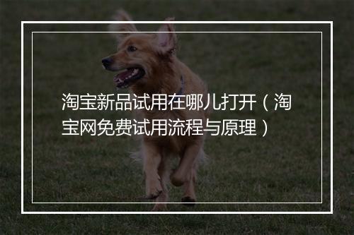 淘宝新品试用在哪儿打开（淘宝网免费试用流程与原理）