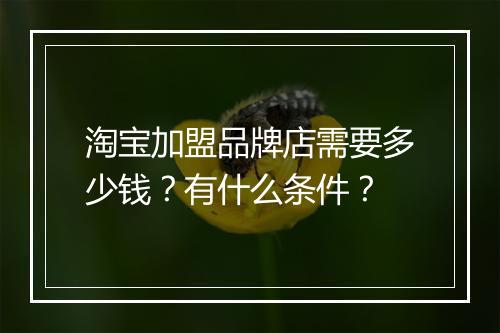 淘宝加盟品牌店需要多少钱？有什么条件？