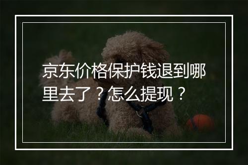 京东价格保护钱退到哪里去了？怎么提现？