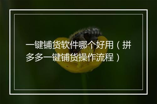 一键铺货软件哪个好用（拼多多一键铺货操作流程）