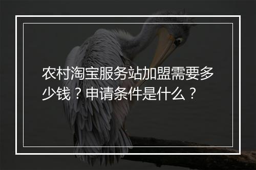农村淘宝服务站加盟需要多少钱？申请条件是什么？