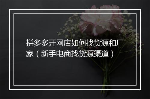 拼多多开网店如何找货源和厂家（新手电商找货源渠道）