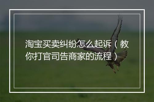 淘宝买卖纠纷怎么起诉（教你打官司告商家的流程）