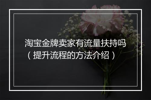 淘宝金牌卖家有流量扶持吗（提升流程的方法介绍）