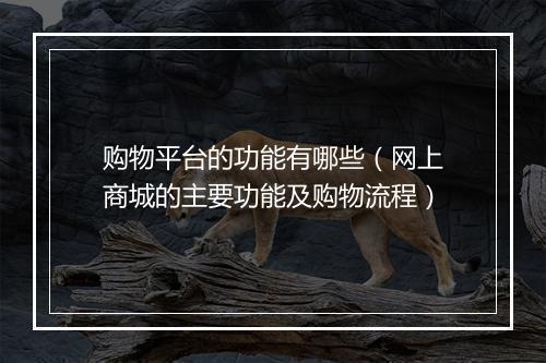 购物平台的功能有哪些（网上商城的主要功能及购物流程）