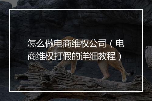 怎么做电商维权公司（电商维权打假的详细教程）