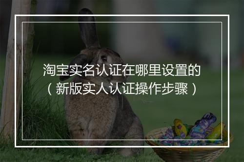 淘宝实名认证在哪里设置的（新版实人认证操作步骤）