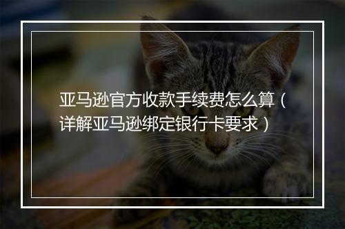 亚马逊官方收款手续费怎么算（详解亚马逊绑定银行卡要求）