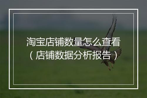 淘宝店铺数量怎么查看（店铺数据分析报告）