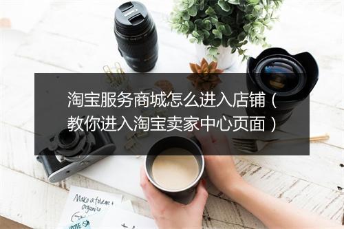 淘宝服务商城怎么进入店铺（教你进入淘宝卖家中心页面）