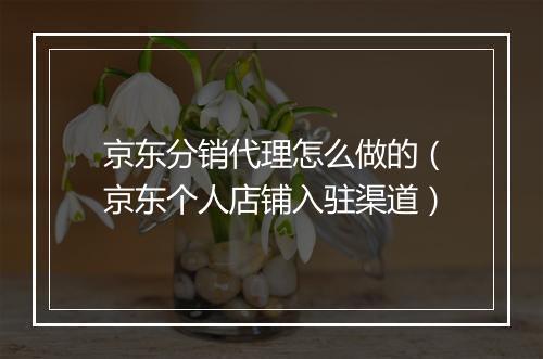 京东分销代理怎么做的（京东个人店铺入驻渠道）