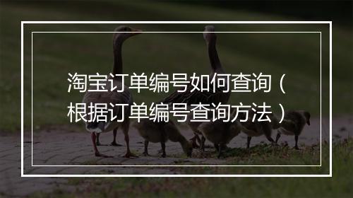 淘宝订单编号如何查询（根据订单编号查询方法）