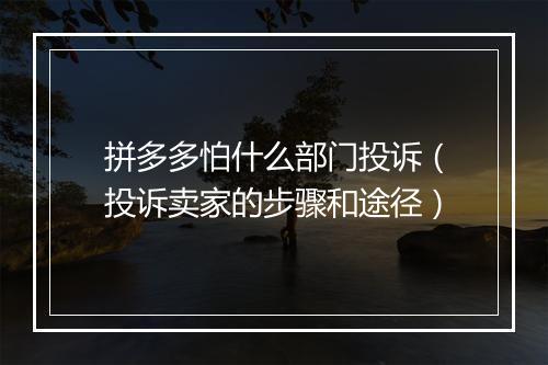 拼多多怕什么部门投诉（投诉卖家的步骤和途径）